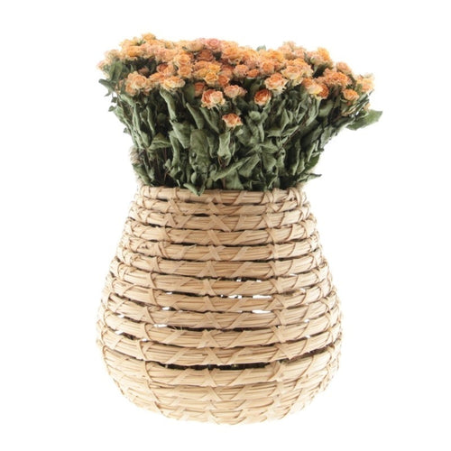 My Flowers.shop Tien gedroogde Peach Fuzz trosrozen | Lengte 50 centimeter | Per bos te bestellen - vtwonen shop