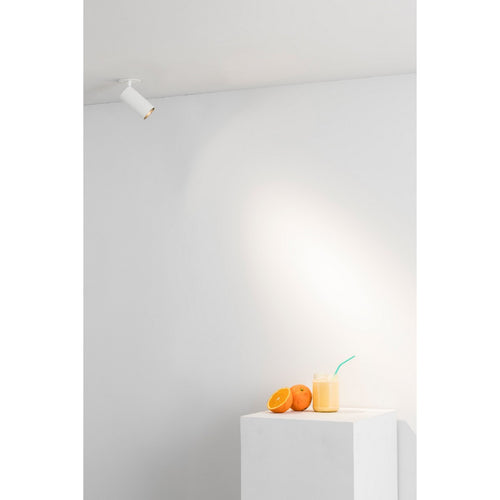 Faro SCUBA Buitenhangende plafondlamp Zwart 2700K IP65