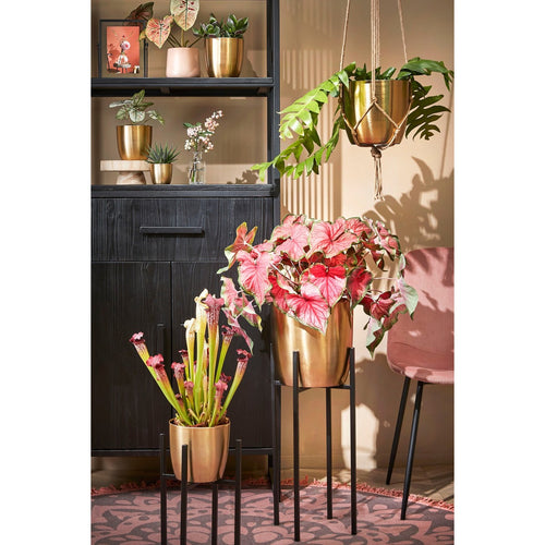 Mica Decorations Alano Bloempot - H21 x Ø22 cm - Metaal - Goud