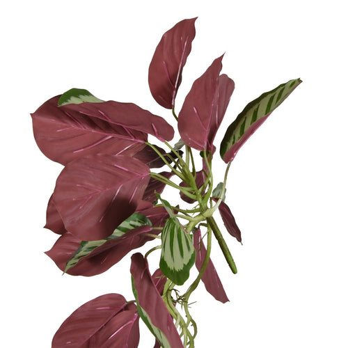 Maxifleur Calathea red Roseopicta kunst hangplant 70cm