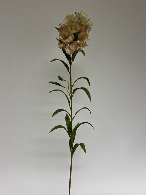 My Flowers.shop Roze oleander zijden bloem | Lengte 70 centimeter | Per stuk - vtwonen shop