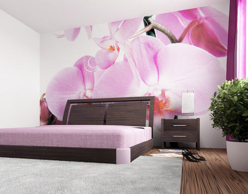 Sanders & Sanders fotobehang bloemen roze - 360 x 254 cm - 600366