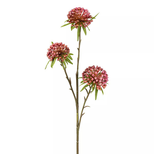 Flourify kunstbloem Allium - 62 cm - bundel van 5 - vtwonen shop