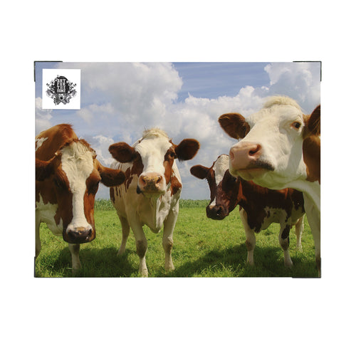 Art for the Home Buitencanvas - Nieuwsgierige Koeien - 50x70cm