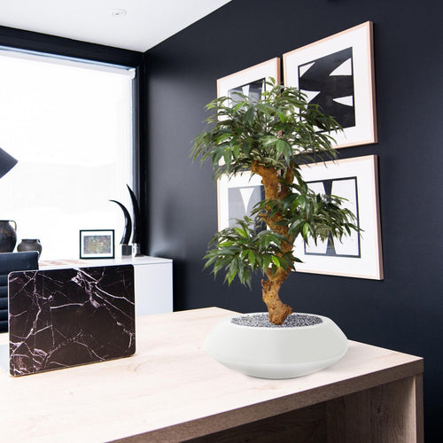 Maxifleur Shirakashi Bonsai x3 kunstboom op voet 80cm