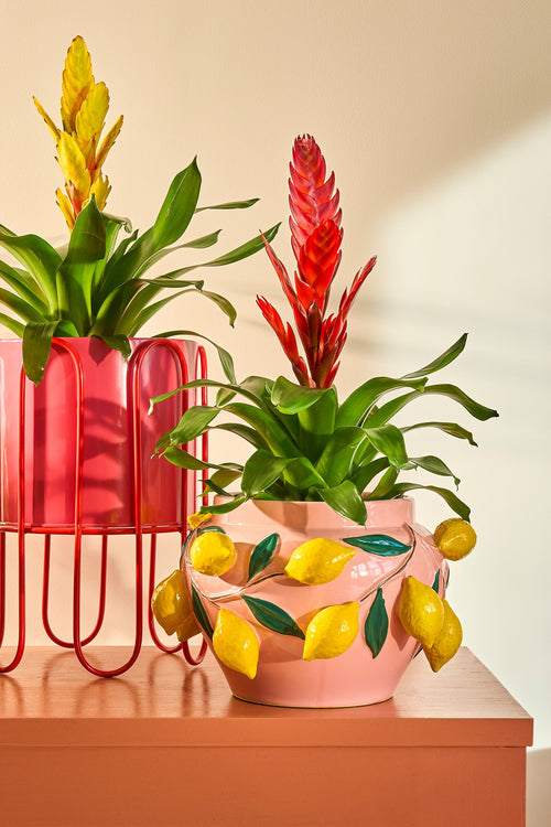 Mica Decorations Dione Bloempot op Standaard - Set van 2 - H35 x Ø26 cm - Metaal - Rood, Roze - vtwonen shop