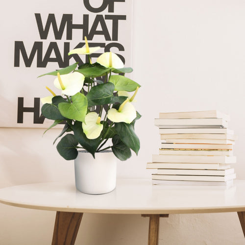 Maxifleur Anthurium deluxe kunstplant 50cm - creme
