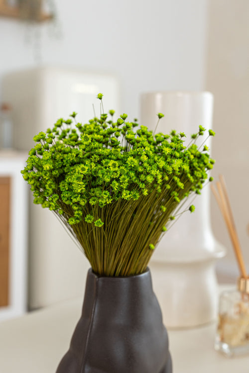 My Flowers.shop Groen gedroogde Klokjesbloemen | Groene Glixia Star Flowers droogbloemen | Lengte ± 50 cm | Per bos - vtwonen shop