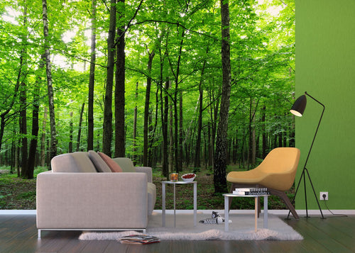 Sanders & Sanders fotobehang bosrijk landschap groen - 360 x 254 cm - 600401