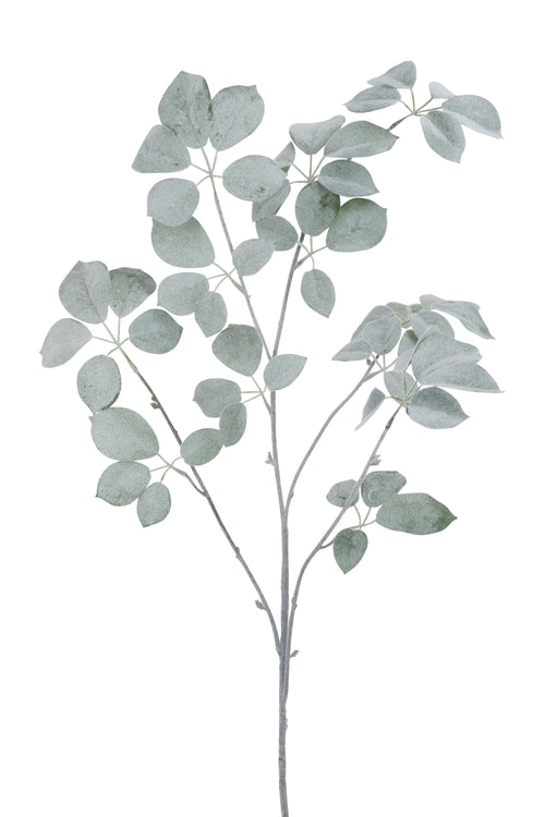 J-Line decoratie Tak Schefflera Gevlokt - kunststof - groen - 6 stuks - vtwonen shop