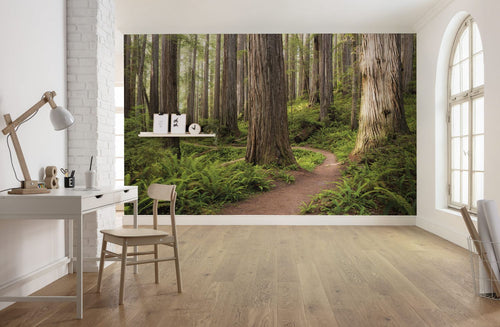Sanders & Sanders fotobehang bos groen en beige - 450 x 280 cm - 612662