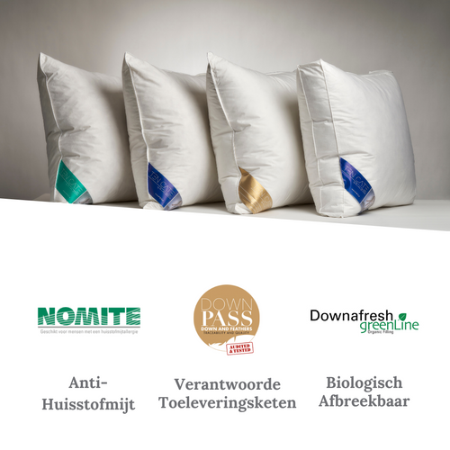 Ten Cate boxkussen - 3-kamer eendendons - 60x70