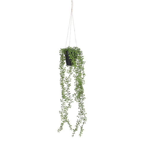 Mica Decorations Senecio Kunst Hangplant in Pot - H68 x Ø9 cm - Groen - vtwonen shop