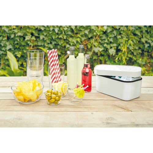 Lékué IJsblokjesvorm met bewaardoos