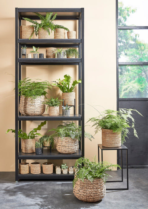 Mica Decorations Ascot Plantenstandaard XL - L38 x B38 x H40cm - Metaal - Zwart