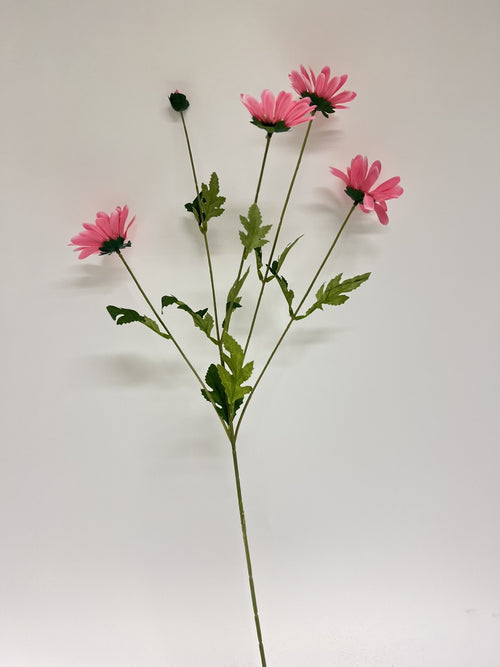 My Flowers.shop Roze margriet zijden bloem | Lengte 75 centimeter | Per stuk - vtwonen shop