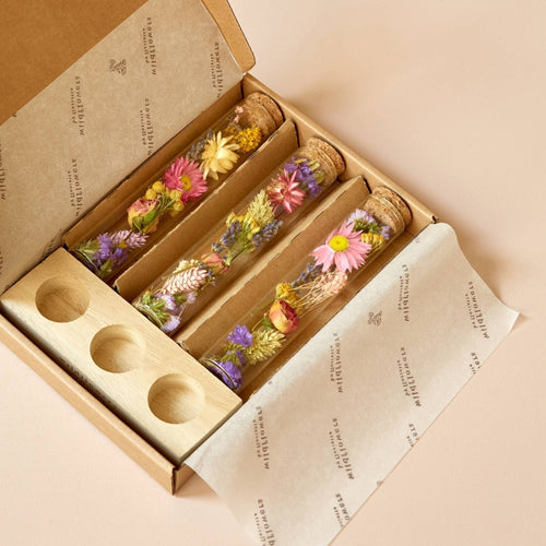 My Flowers.shop Droogbloemen in drie vaasjes | Message in a Box | Maat L | Per stuk - vtwonen shop