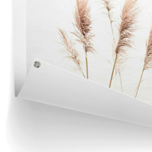 Reinders tuinposter Pampas - 80x60cm
