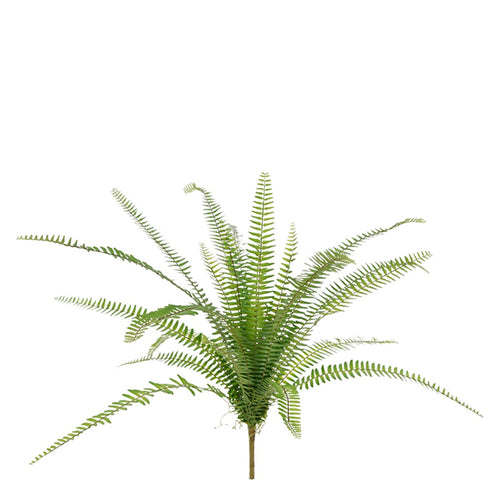 Maxifleur Asplenium Varen kunstplant 75cm