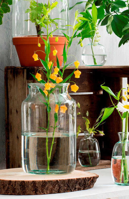 Mica Decorations Vienne Vaas - H40 x Ø23 cm - Gerecycled Glas - Transparant - vtwonen shop