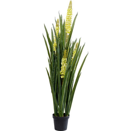 Kare Design Kunstplanten - Rhynchostylis - 150cm