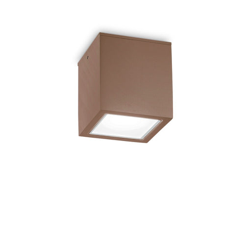 Outdoor Grote Opbouwdownlight Koffie IP54, GU10