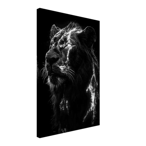 Artfulprints Canvas Lion portrait canvas - 40x60 cm - Zwart / Wit