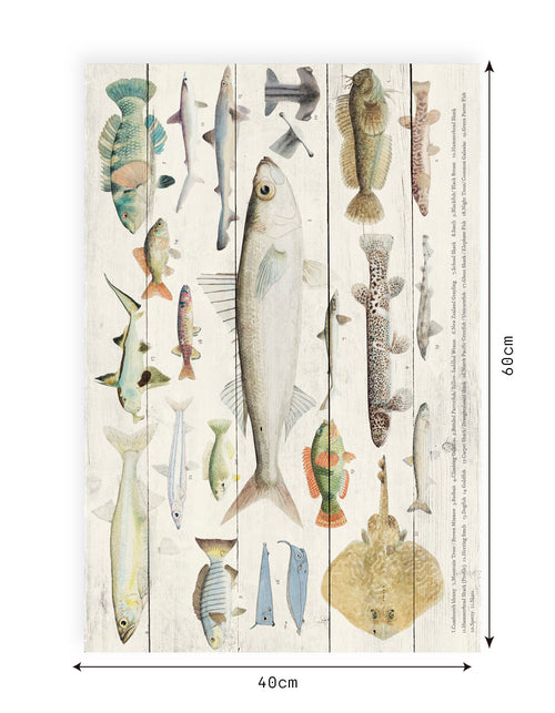 Really Nice Things - Paneel - 60x40 cm - Fishes