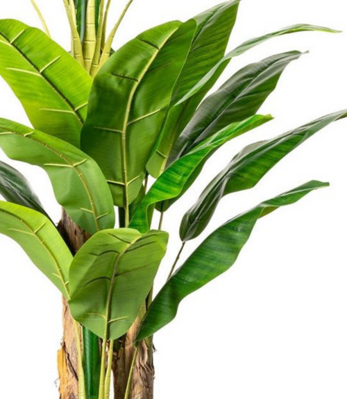 Flourify kunstplant - Bananenplant - 180 cm