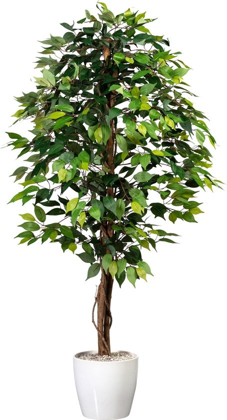 Flourify kunstplant - Ficus Benjamina - 150 cm - vtwonen shop