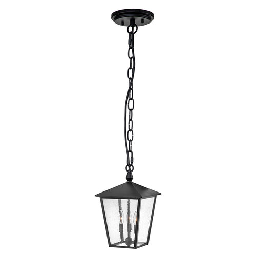 Elstead Hinkley Huntersfield Hanglamp voor buiten, zwart, IP44