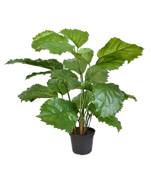 Maxifleur Tetrastigma kunstplant 40cm