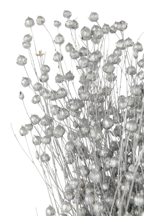 J-Line decoratie tak droogbloemen - riet - zilver