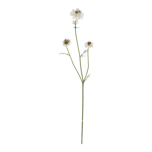 Maxifleur Scabiosa Kunstbloem 77cm Creme