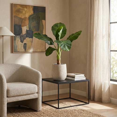 Maxifleur Banaan Royal Kunstplant 70cm