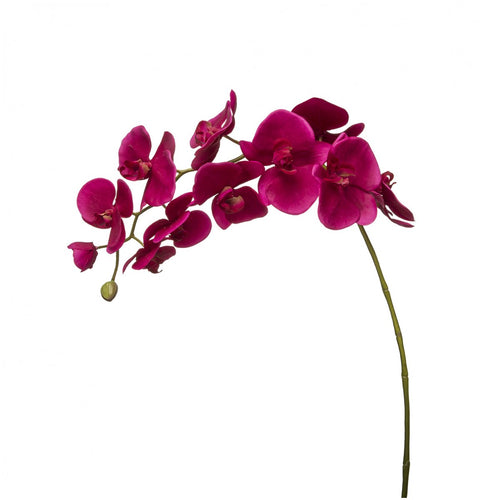 Sia Deco Kunstmatige Phalaenopsis Orchidee Stengel - Fuchsia - H100 - vtwonen shop