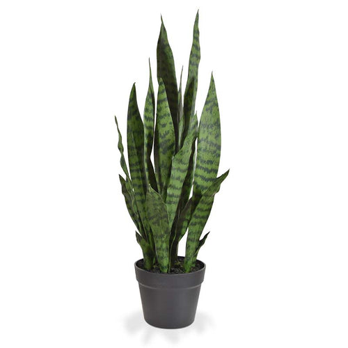 Maxifleur Sanseveria kunstplant N 70cm - groen