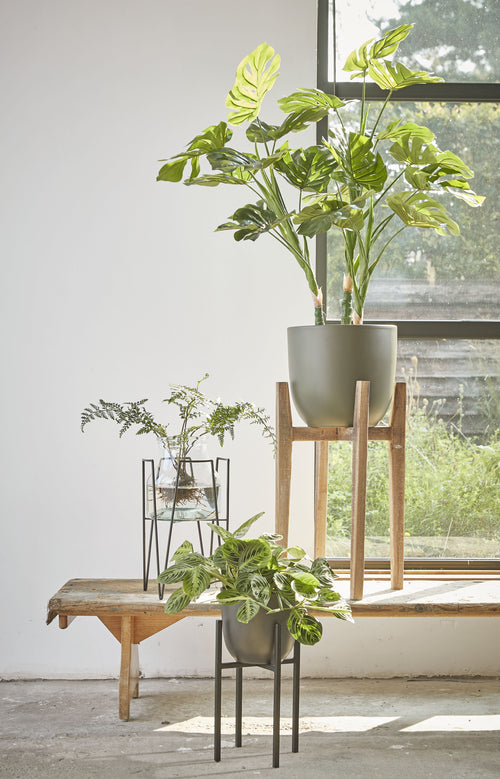 Mica Decorations Ascot Plantenstandaard - L21 x B21 x H35 cm - Metaal - Zwart - vtwonen shop