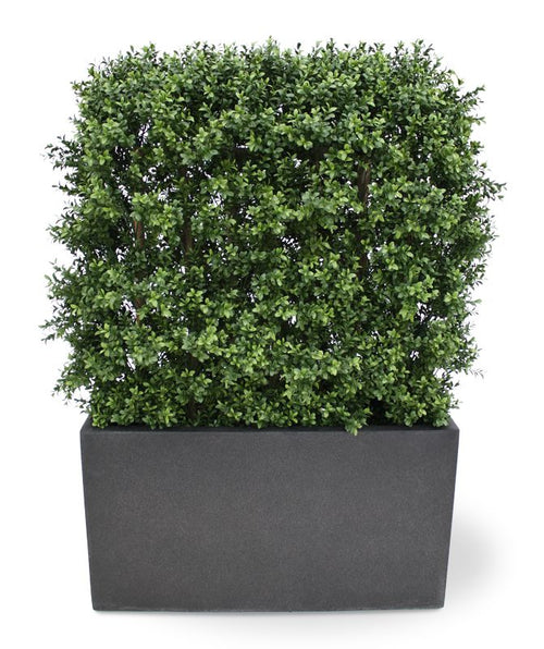 Maxifleur Buxus deluxe kunstheg 80x100cm