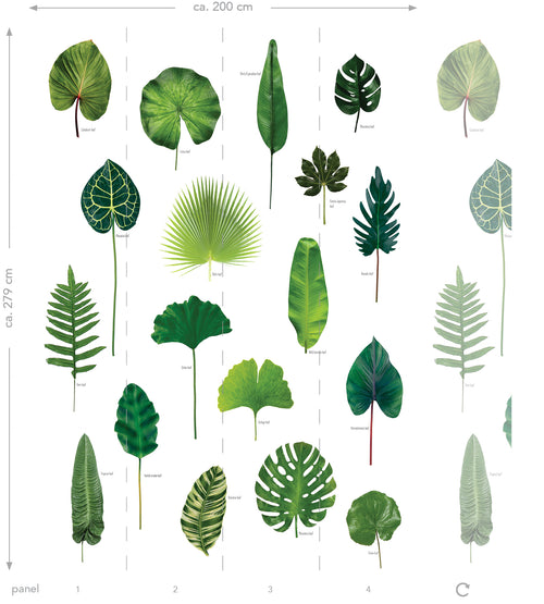 ESTAhome fotobehang tropische jungle bladeren tropisch junglegroen - 200 x 279 cm - 158831 - vtwonen shop