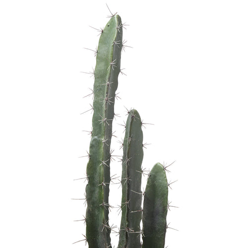 Sia Deco - Cactus in een keramische pot 80cm - Groen - Polyester - H80 - vtwonen shop