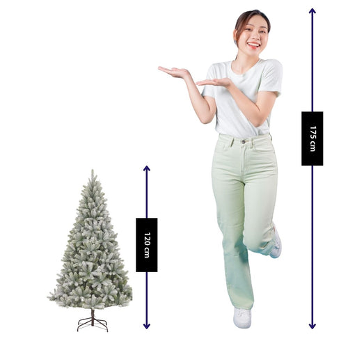Black Box Trees Nagoya Kerstboom met LED Verlichting - Kerstversiering voor Binnen met Besneeuwd Uiterlijk - Kunstboom met Scharnierconstructie en