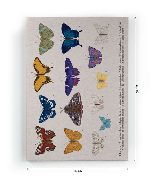 Canvas 60x40 Afdruk Gekleurde Vlinders