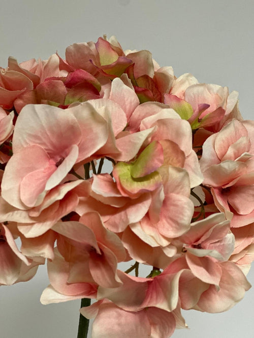 My Flowers.shop Zachtroze groene hortensia zijden bloem | Lengte 48 centimeter | Per stuk - vtwonen shop