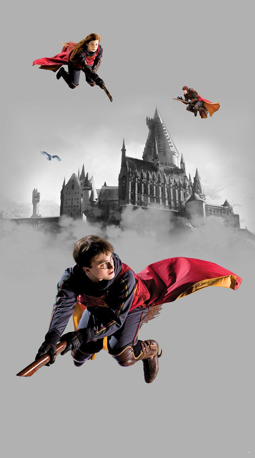 Sanders & Sanders fotobehang Harry Potter Zweinstein grijs en rood - 270 x 150 cm - 601229