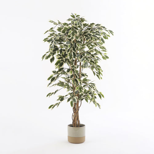Mica Decorations Ficus Kunstplant - H150 x Ø75 cm - Groen Bont - vtwonen shop