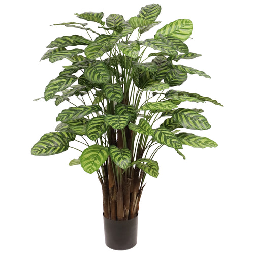 Maxifleur Calathea Makoyana kunstplant Deluxe 115cm