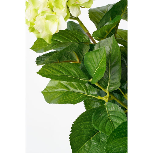 Mica Decorations Hortensia Kunstplant in Bloempot Stan - H45 x Ø45 cm - Groen