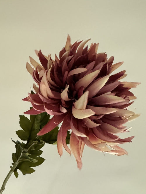 My Flowers.shop Rose paarse zijden Chrysant | Zijden bloemen | Lengte 62 centimeter | Per stuk - vtwonen shop