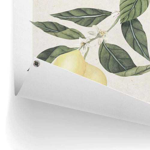 Reinders Limoni tuinposter -  geel - tuin - 80x60cm